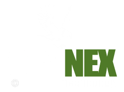 CRYNEX Technology OÜ